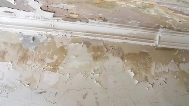 Water-stained wall and peeling paint above the baseboard in a hallway