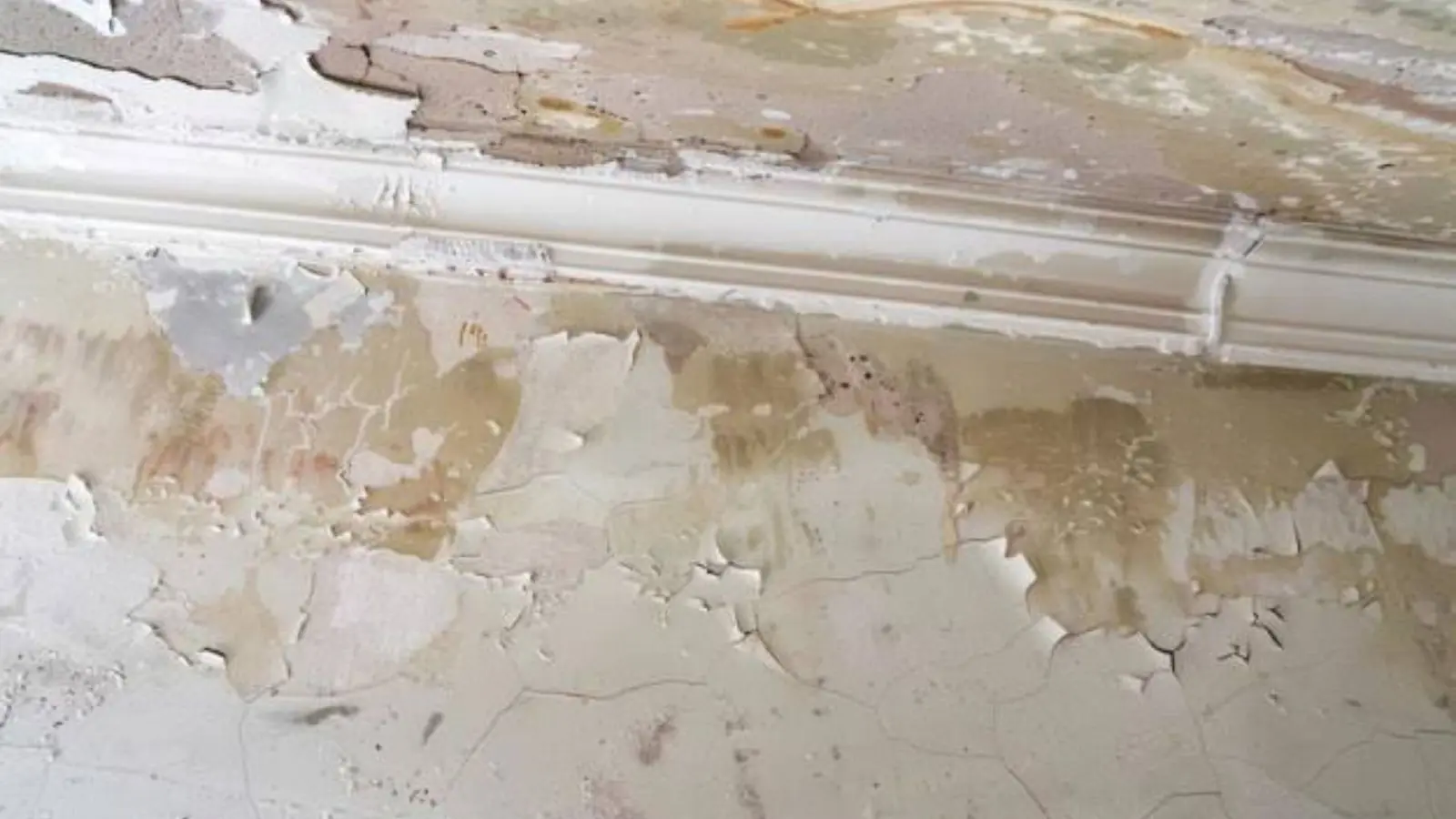 Water-stained wall and peeling paint above the baseboard in a hallway